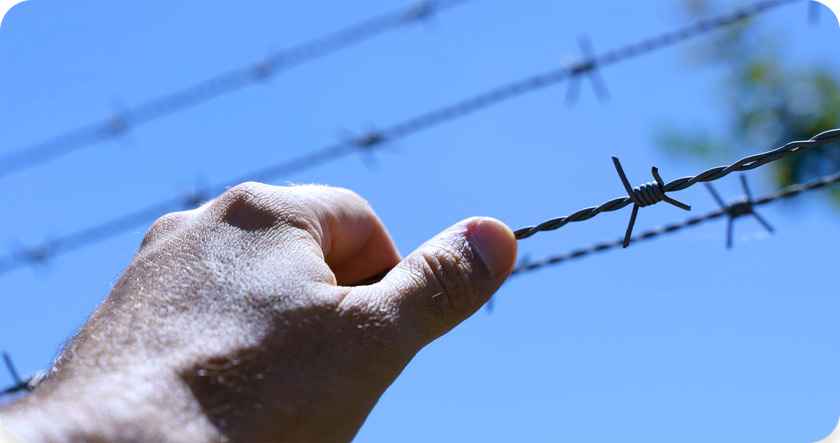 Como escolher o arame ideal para sua cerca elétrica