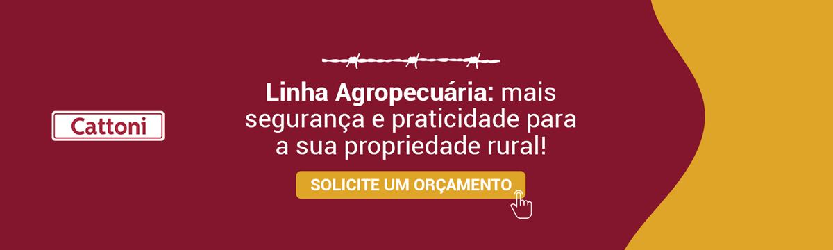 orcamento orcamento